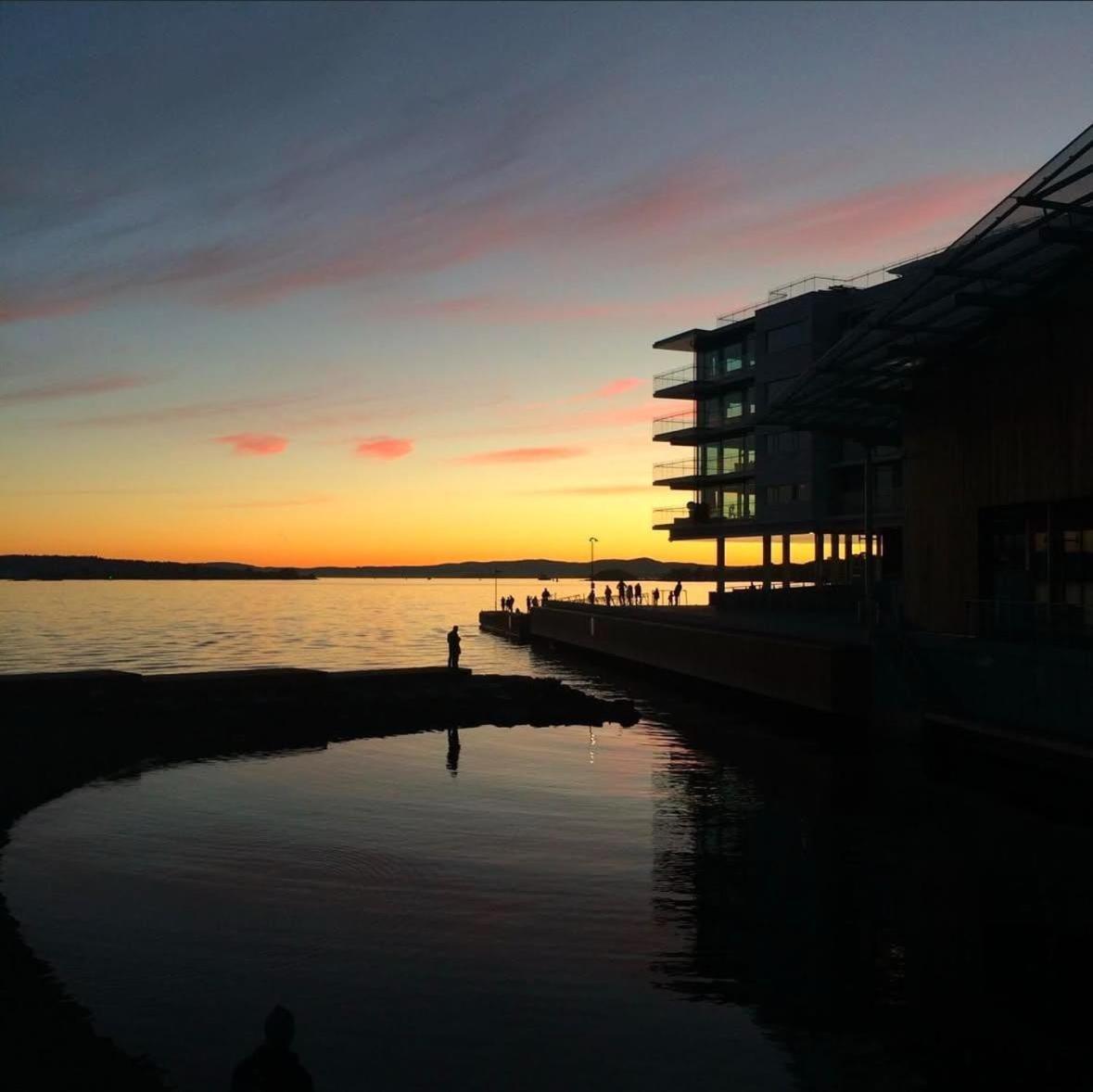 Tjuvholmen Gem With Rooftop Terrace And Parking * Oslo