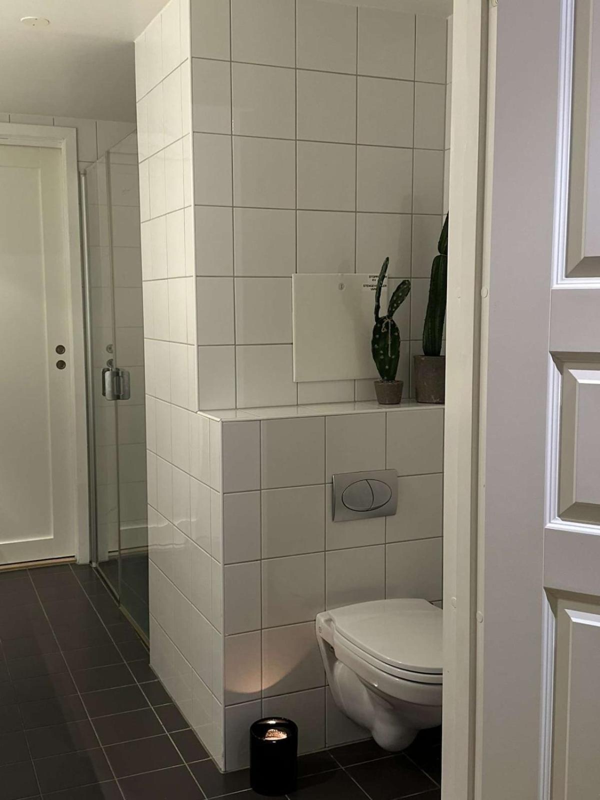 Tjuvholmen Gem With Rooftop Terrace And Parking Apartment Oslo