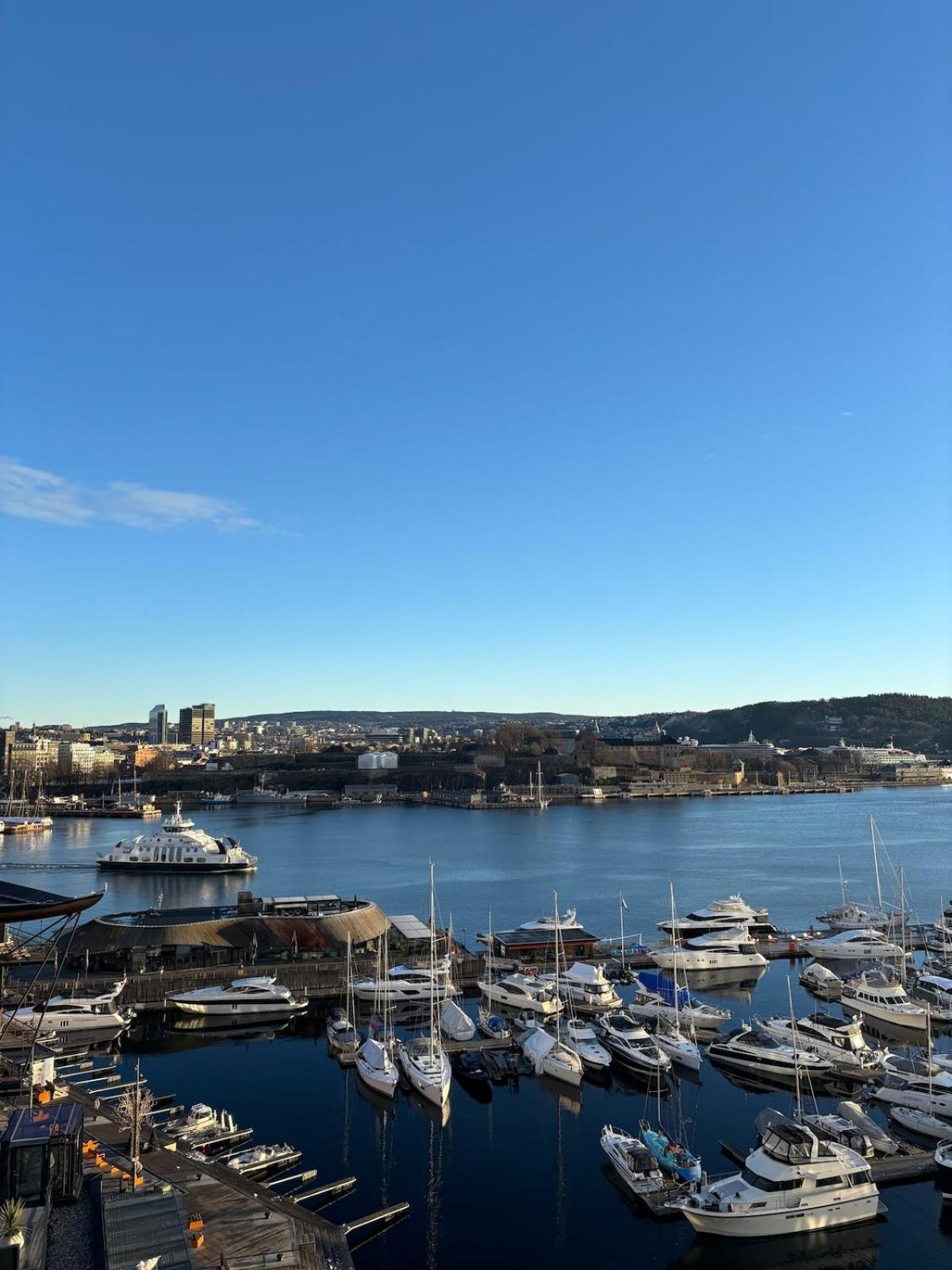 Tjuvholmen Gem With Rooftop Terrace And Parking