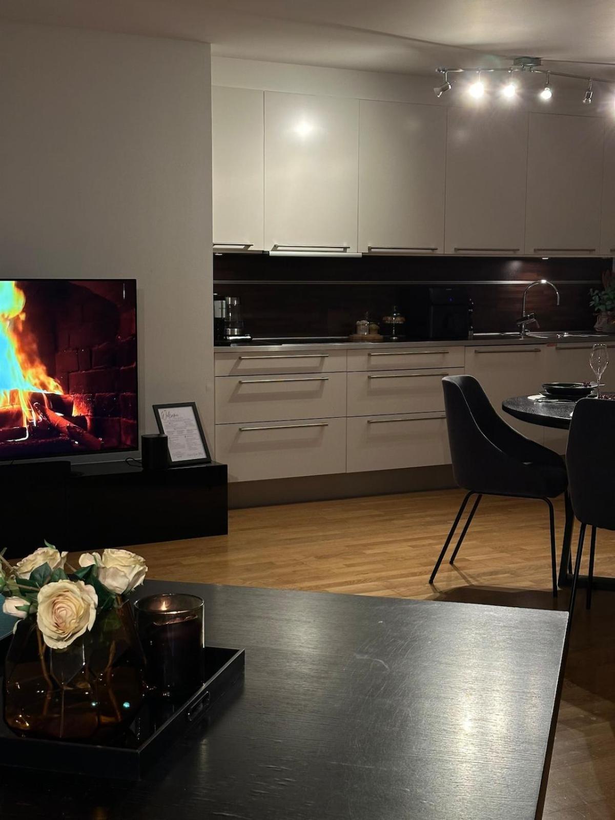Tjuvholmen Gem With Rooftop Terrace And Parking Apartment *